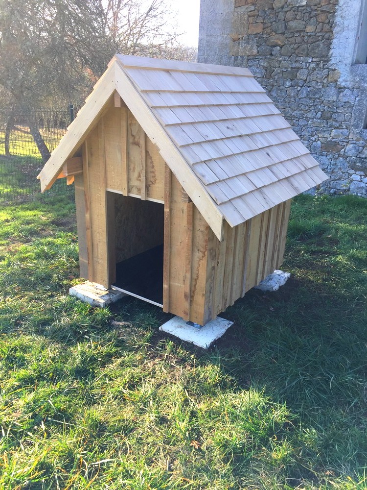 Cabane pour chien avec toit en bardeau1
